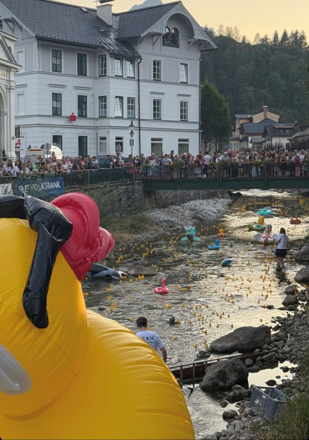 CTEnte mit Blick zur Traun mit vielen Zuschauern