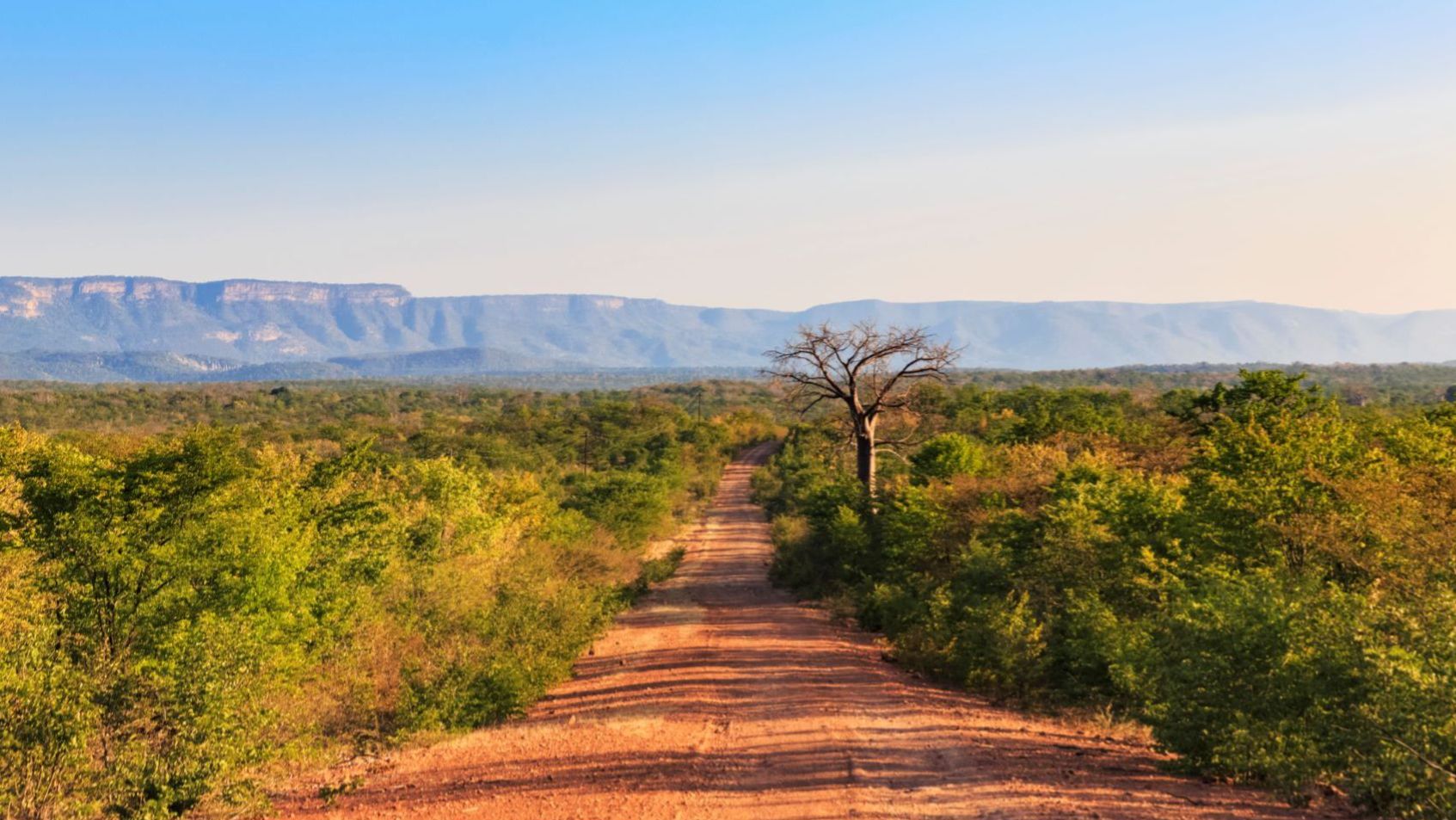 Roter Naturweg führt durch grüne Savannenlandschaft in Simbabwe, Südliches Afrika, mit Baobab-Baum und Gebirgszug im Hintergrund unter klarem Himmel | © GettyImages