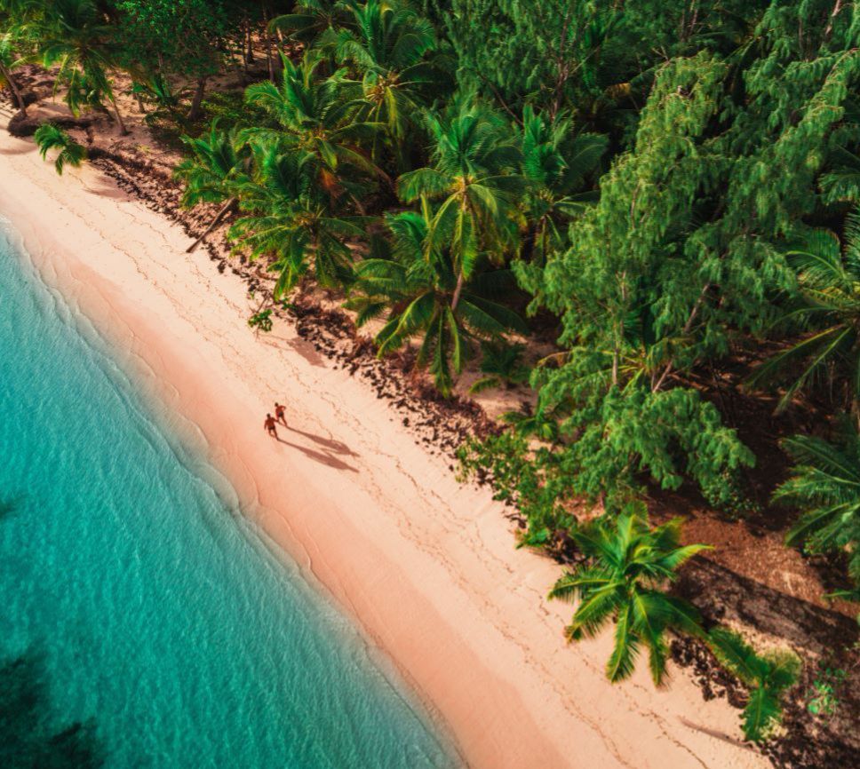Drohnenaufnahme eines tropischen Strandes mit türkisblauem Wasser, feinem Sand und dichtem Palmenwald; zwei Menschen gehen am Ufer entlang und werfen lange Schatten | © AdobeStock